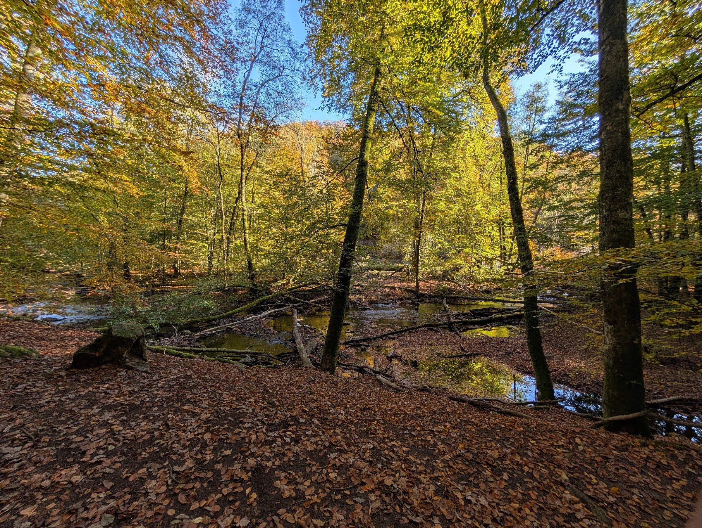 Söderåsen National Park